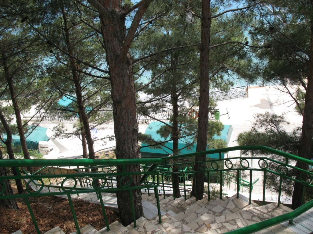 Royal Park Hotel — Danilovka — photo 3