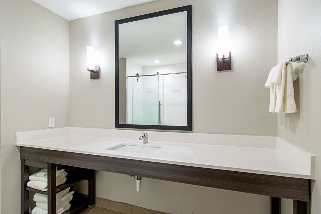 Comfort Suites Humble Houston IAH - photo 18