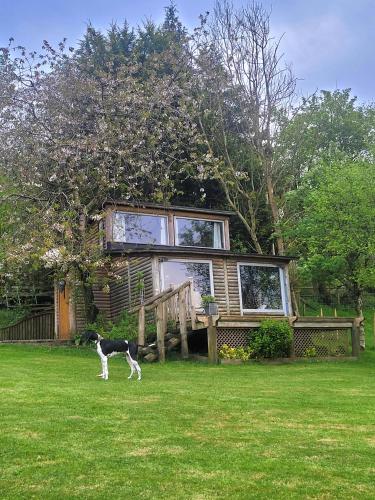 The Summerhouse - last minute hotel in Llandegla