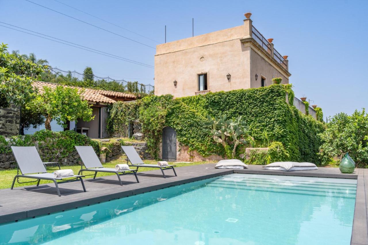 Giardino Degli Avocadi in Giarre, Italy