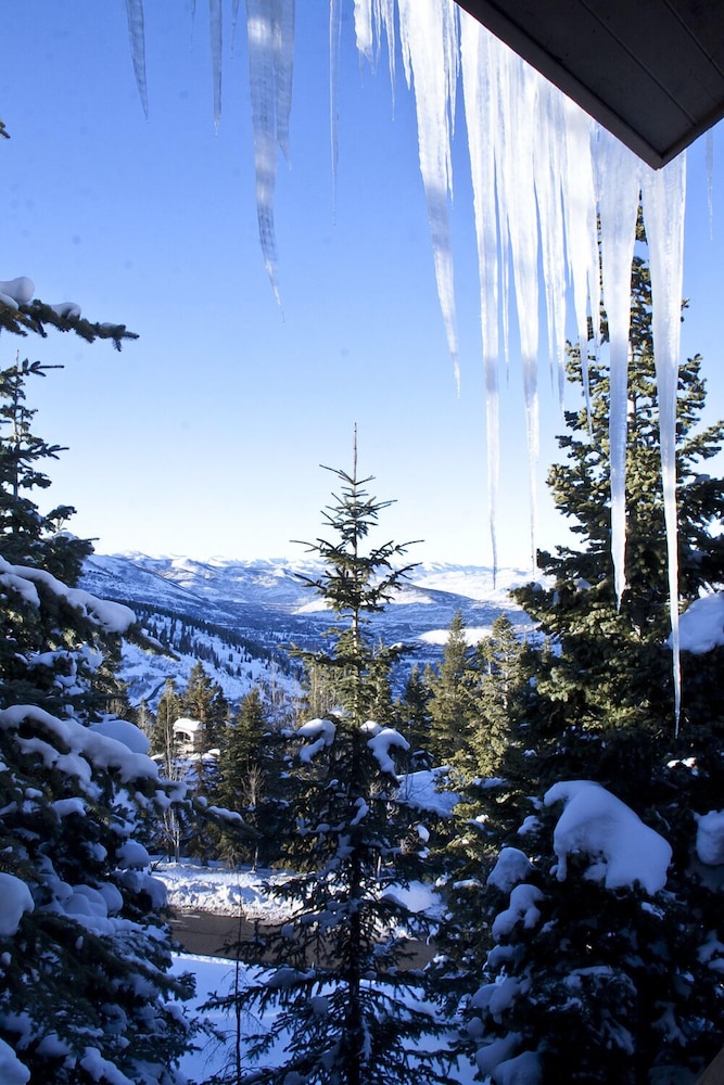 Abode In the Belles at Deer Valley - photo 10