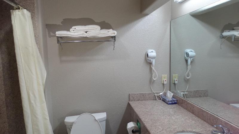 Regency Inn & Suites By Capital O Houston IAH Airport - photo 8
