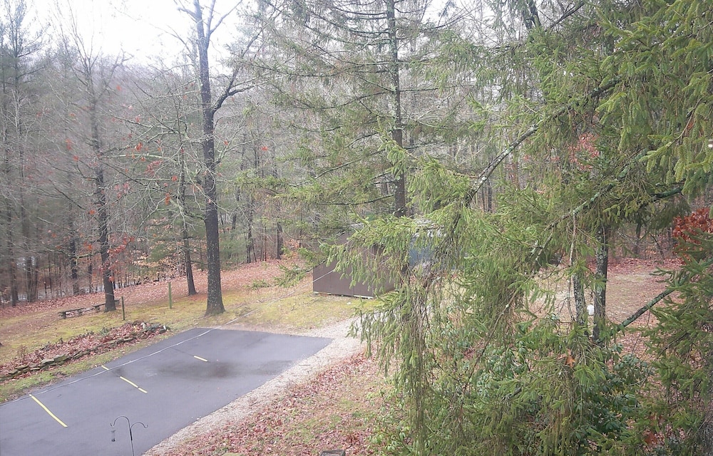 Lil Black Bear Inn - photo 150