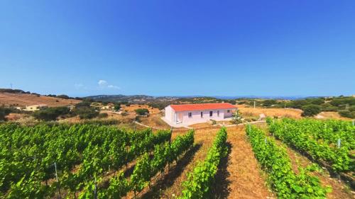 Il Sughereto In Vigna in Aglientu, Italy