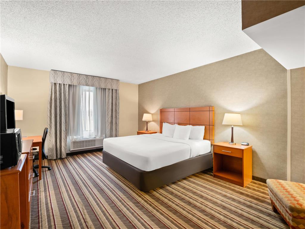 Comfort Inn Metro Airport - photo 31