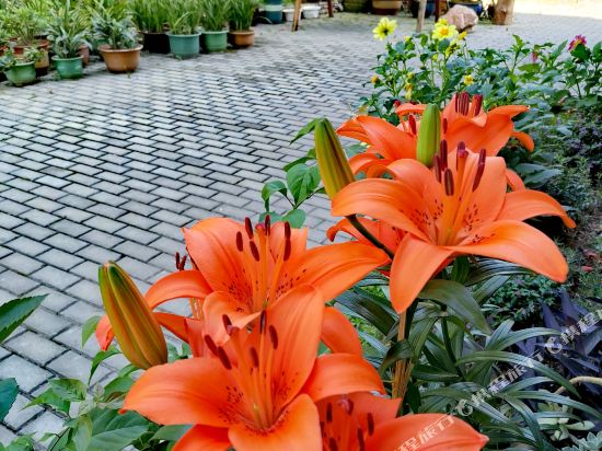 Divert Inn in Lishui, People's Republic of China