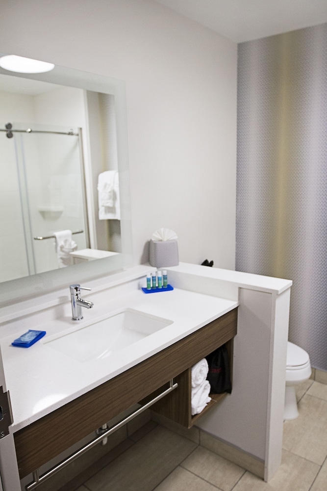 Holiday Inn Express & Suites Greenwood Mall by IHG - photo 24