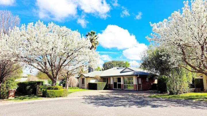 Schnippen Inn - carbon neutral hotel in Tanunda