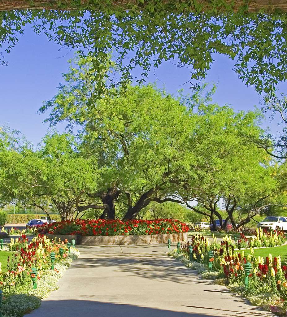 Ventana Canyon Club and Lodge - photo 4
