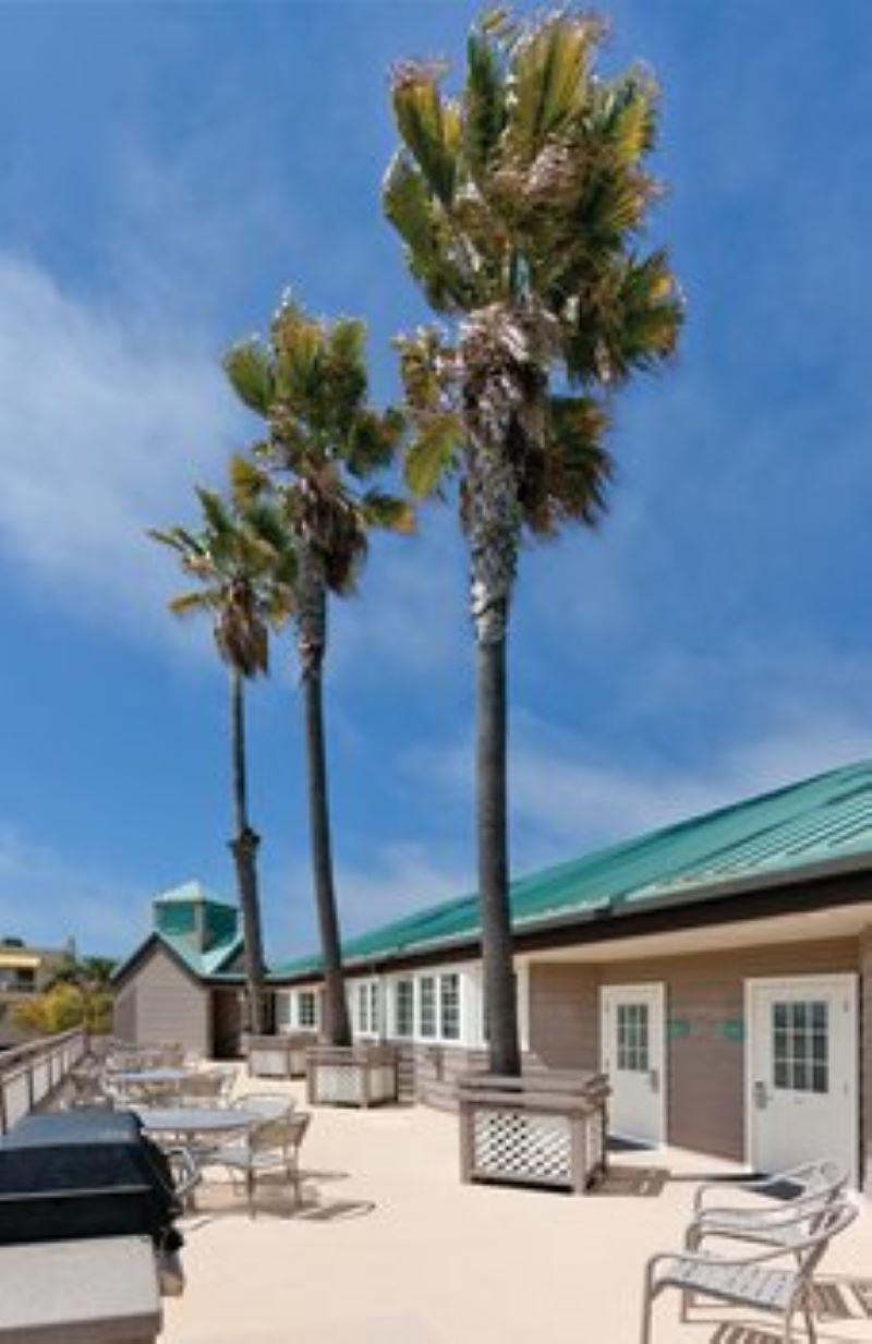 WorldMark Pismo Beach - photo 10