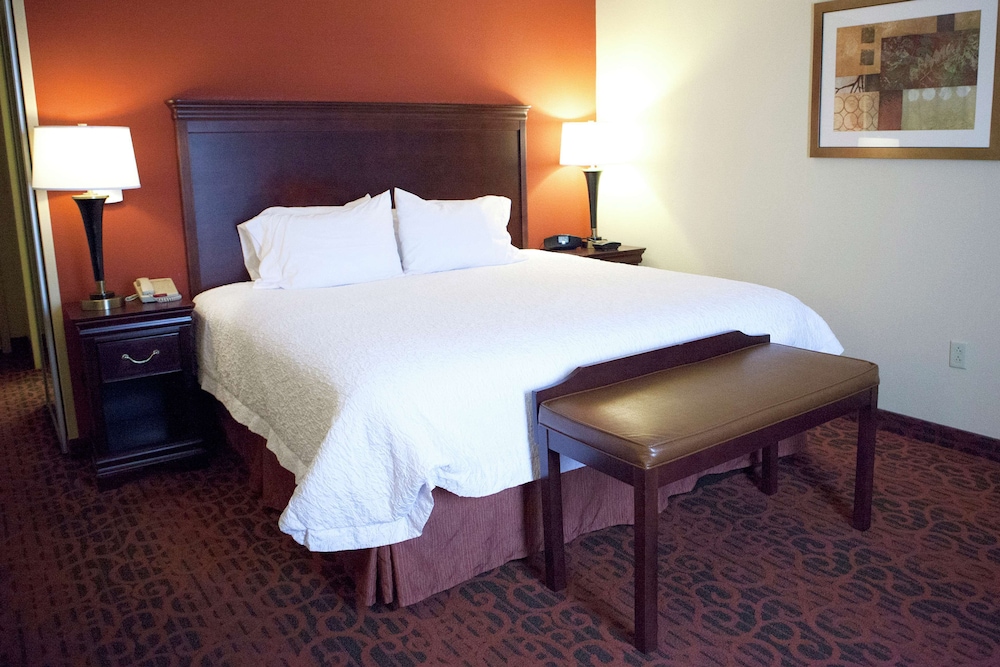 Hampton Inn Rochester Webster - photo 10