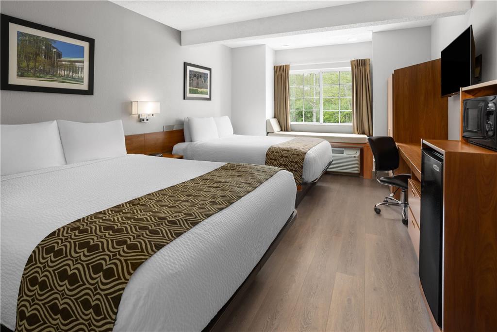 Microtel Inn by Wyndham Albany Airport - photo 15