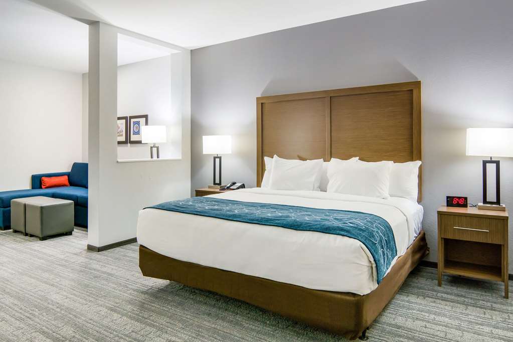 Comfort Suites DeSoto Dallas South - photo 21