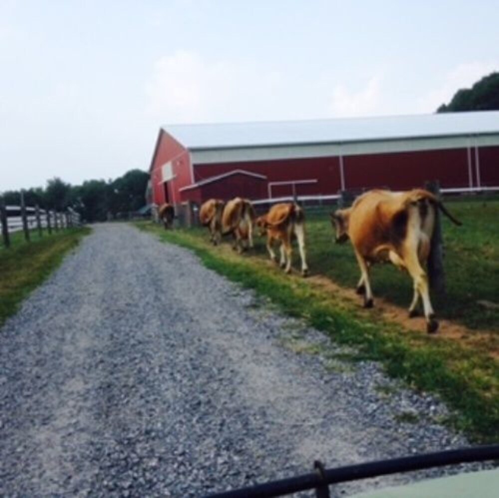 Flint Hill Farm AG - photo 34