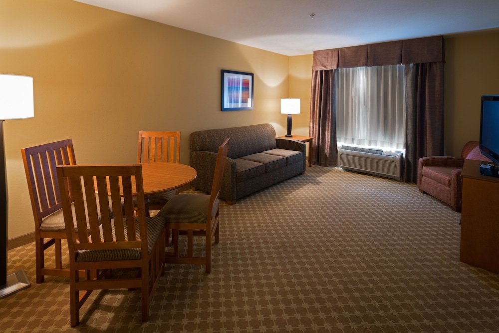 Holiday Inn Express & Suites Chicago West Roselle by IHG - photo 8