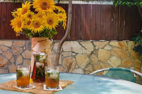 GirasolesV in Sanlucar De Barrameda, Spain