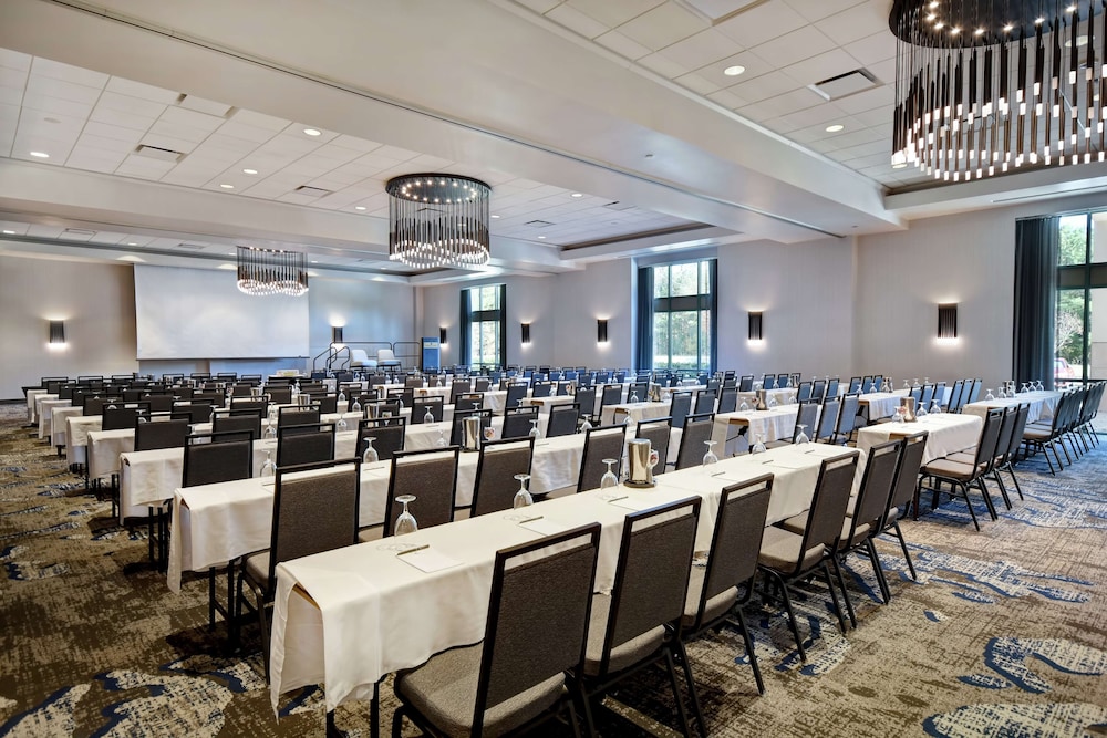 Embassy Suites by Hilton Raleigh Durham Research Triangle - photo 100