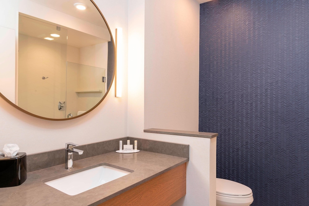 Fairfield Inn & Suites by Marriott Fair Oaks Farms - photo 40