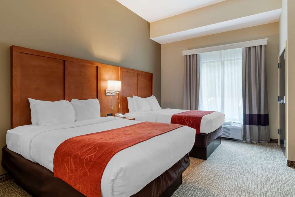 Comfort Suites Kingsport South - photo 14