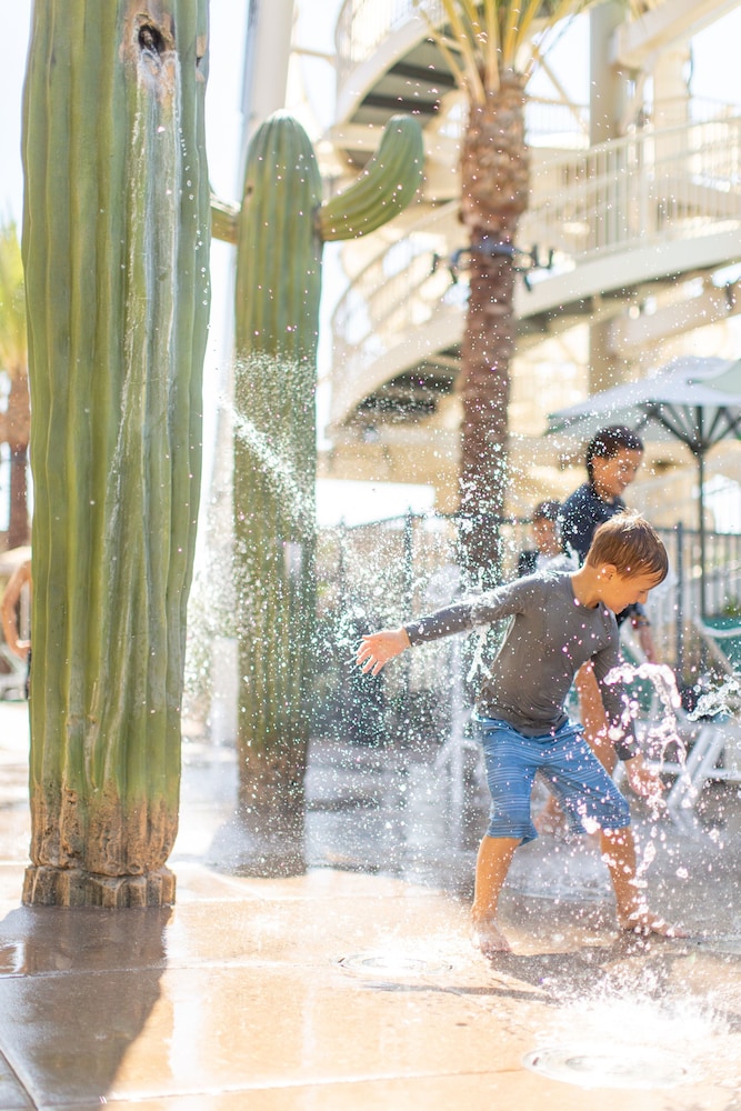 Arizona Biltmore LXR Hotels & Resorts - photo 142