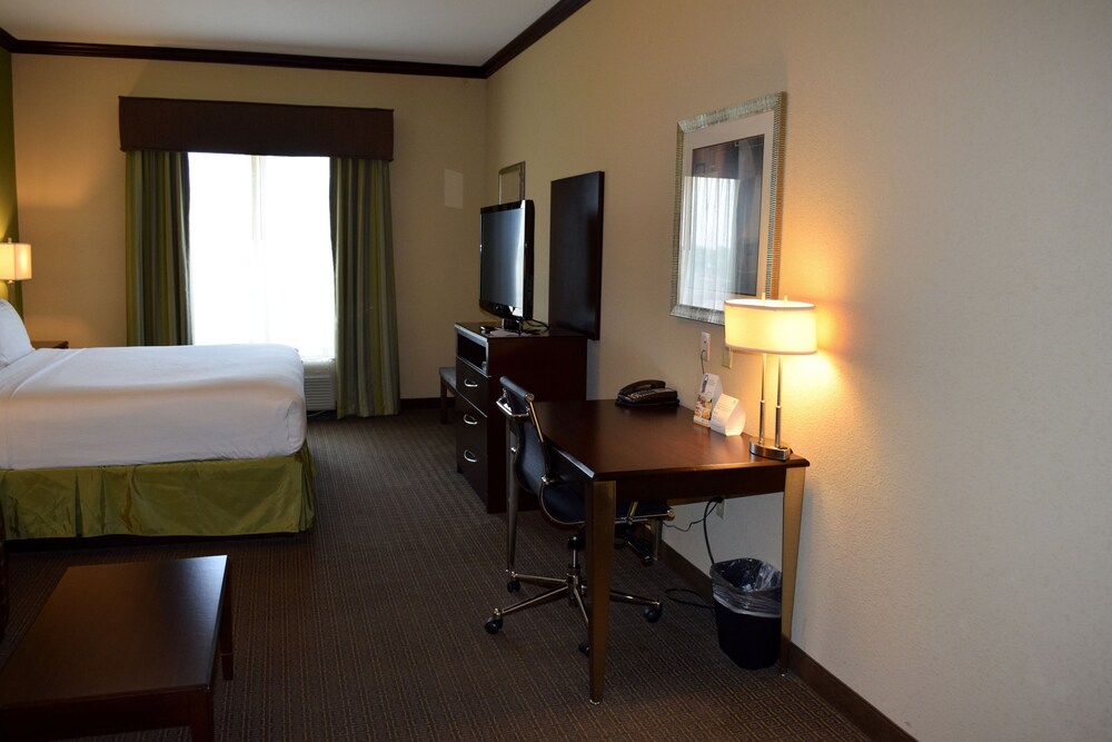 Holiday Inn Hou Energy Corridor Eldridge by IHG - photo 25
