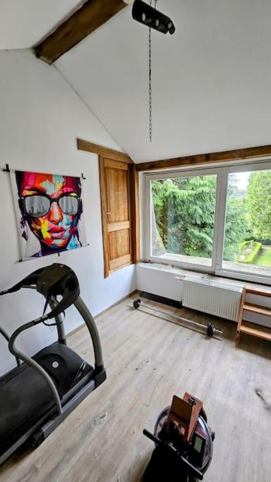 Das GANZE Chateau Thor bis zu 22 Personen pet-friendly hotel Lontzen