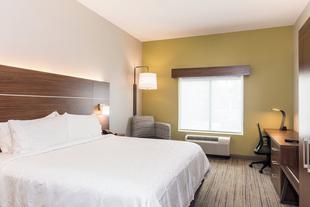 Holiday Inn Express & Suites Tampa USF Busch Gardens by IHG - photo 15