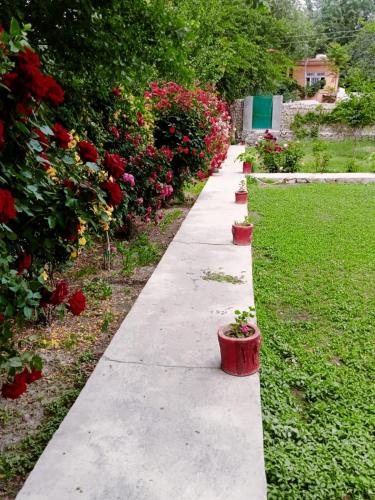 Hotel ChoPing — Skardu — photo 4