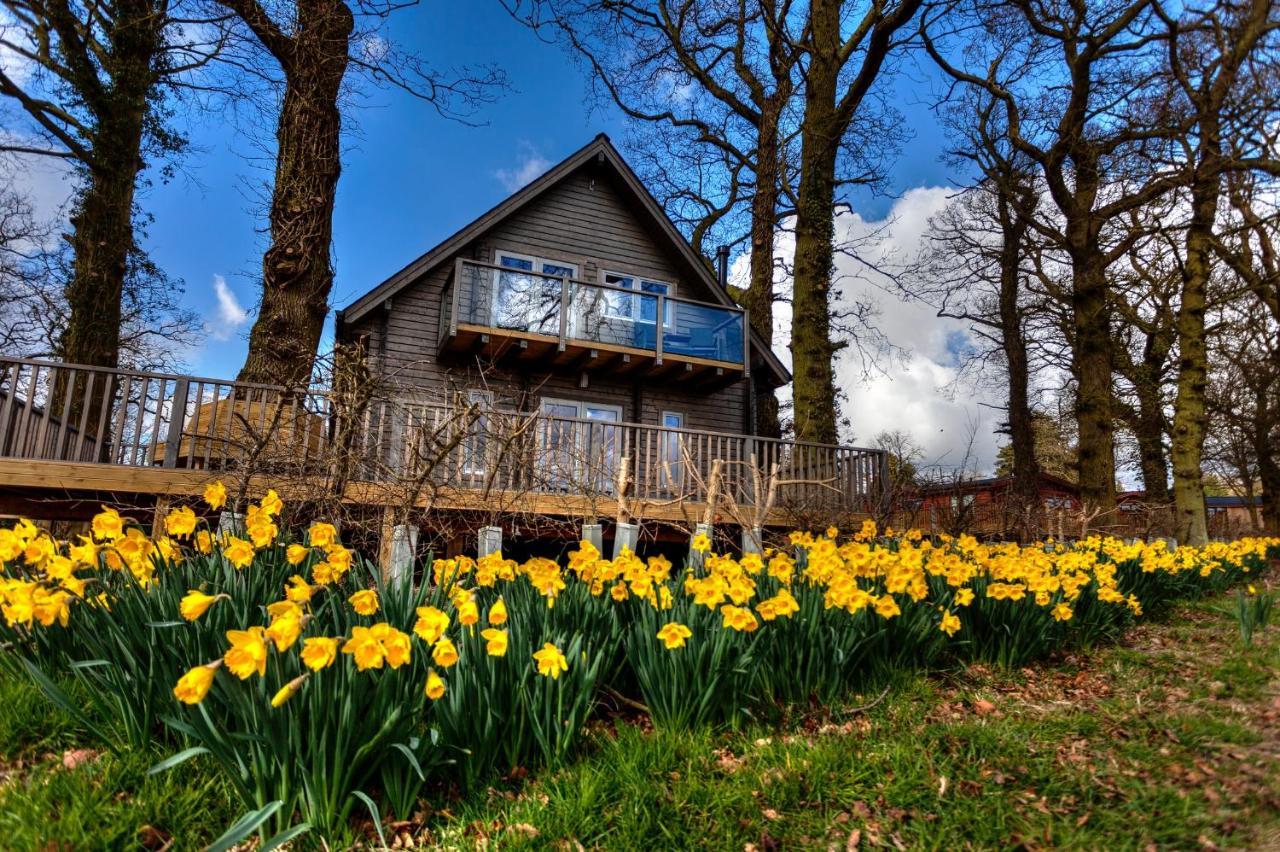 Ilodge Ultra — hotel in Louth