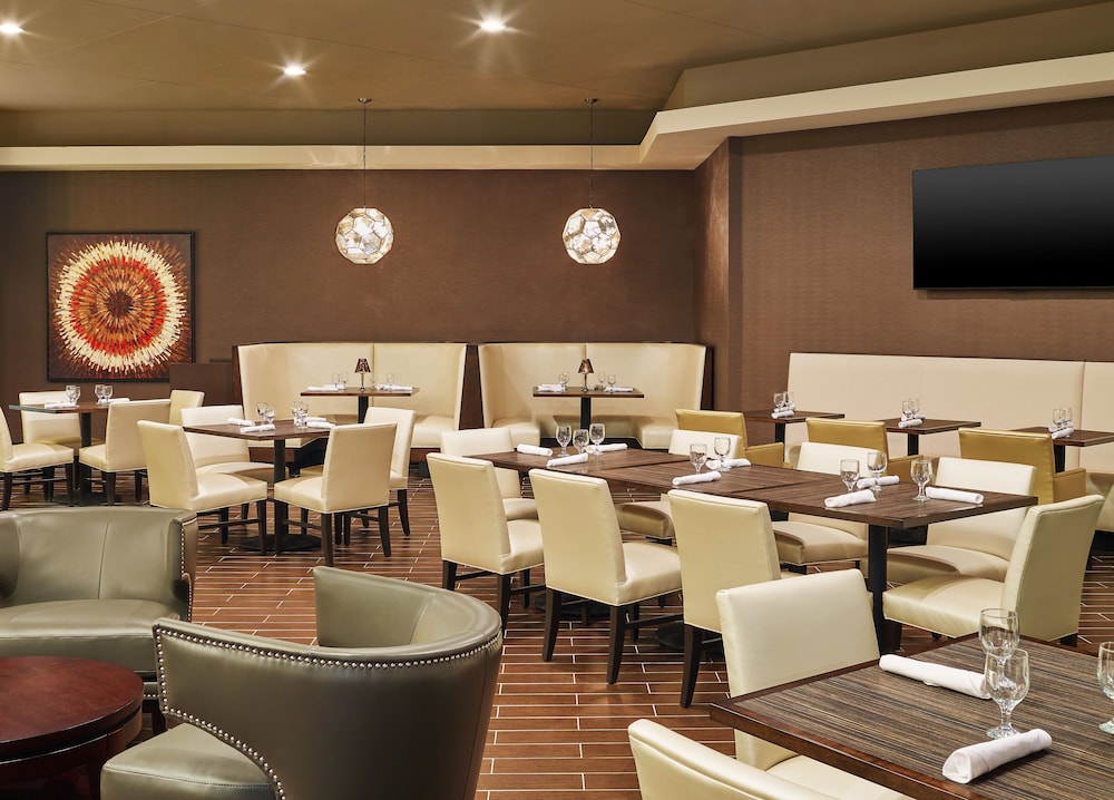 Sheraton Lisle Naperville Hotel - photo 23