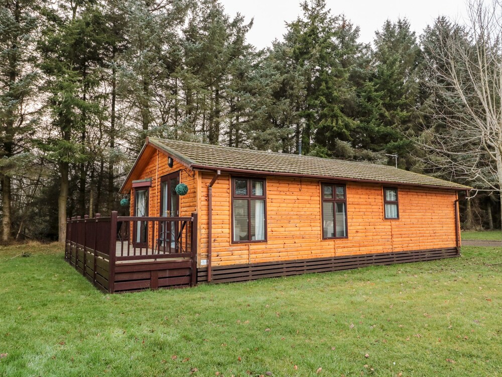 The Treeline in Morpeth, United Kingdom