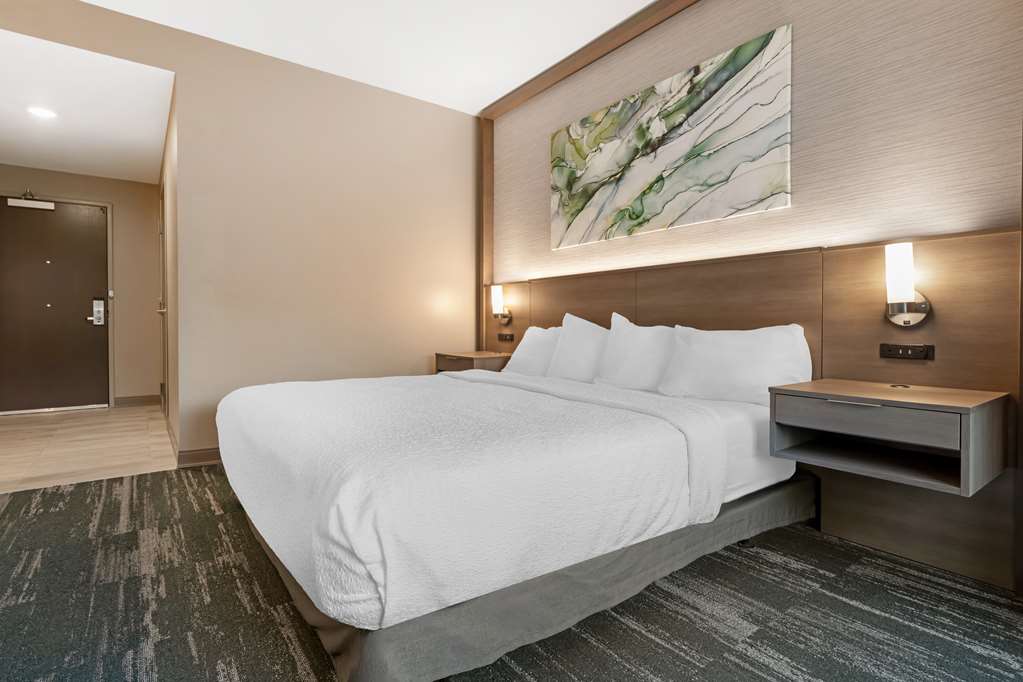 Best Western Plus Grand Rapids MN - photo 27