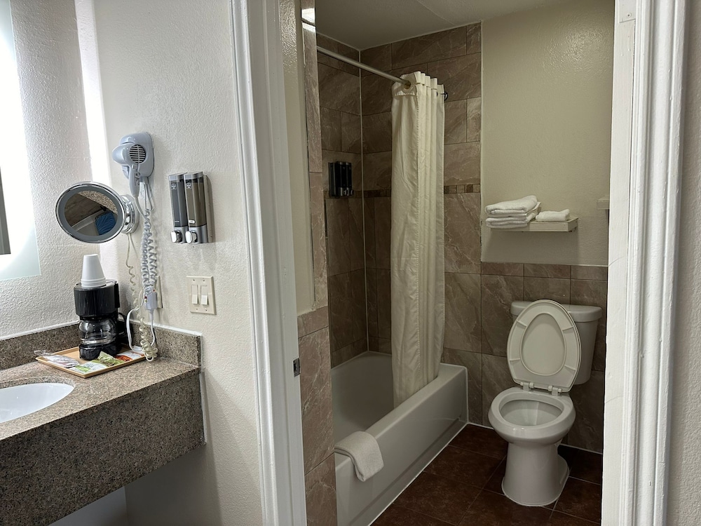 Palace Inn I 45 & Bellfort - photo 10