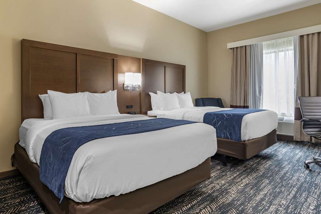 Comfort Inn & Suites Downtown near University - photo 14