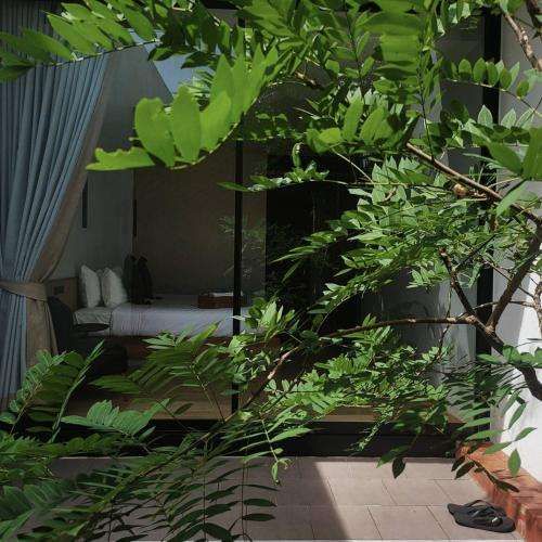 Tree Space Living in Chumphon, Thailand