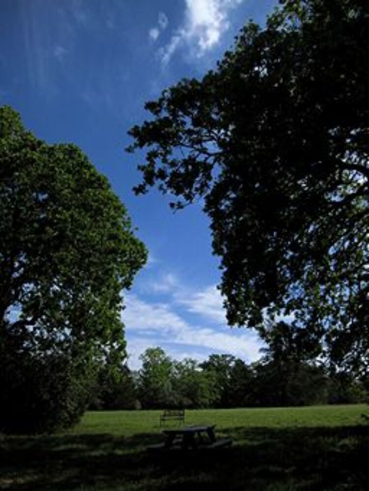 Scenic Hill Retreat - photo 106