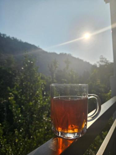 Nutmeg shades Munnar — Unknown City — photo 3