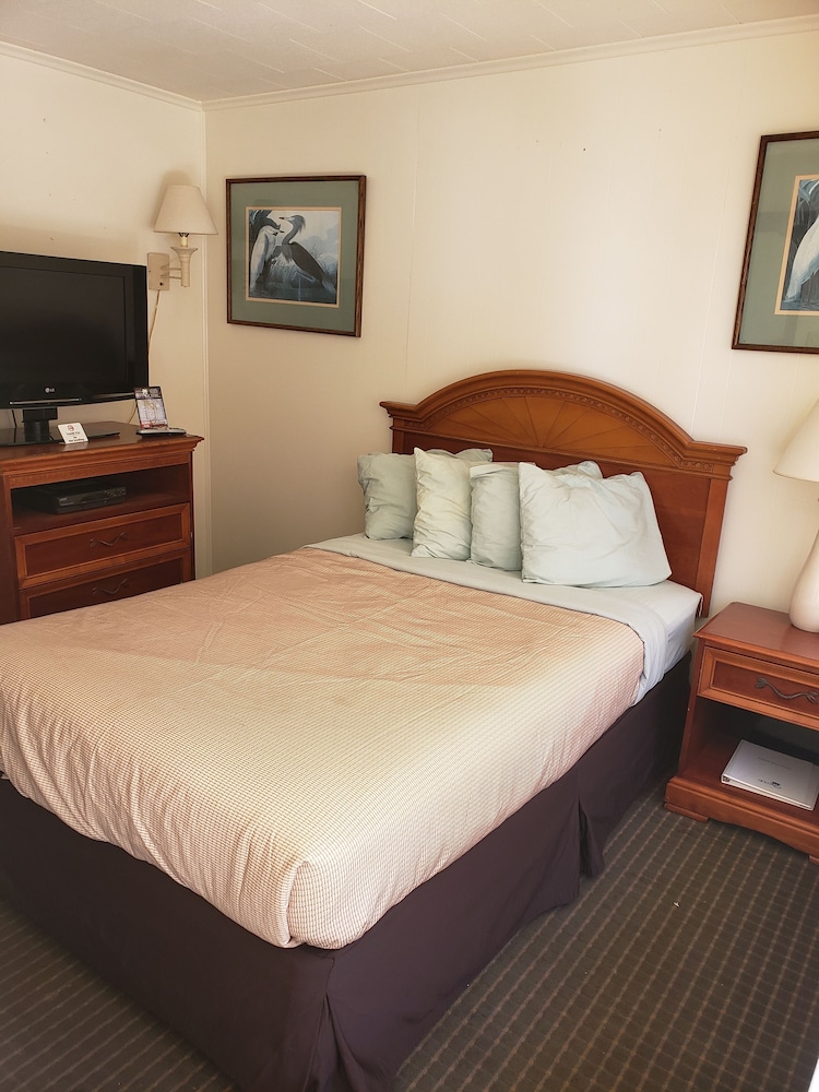 Oceanic Motel - photo 19