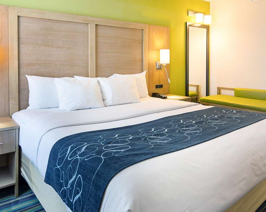 Comfort Suites Beachfront - photo 14