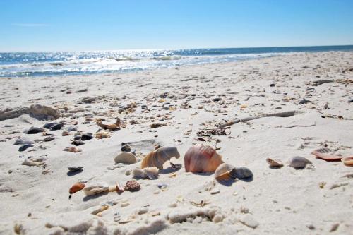 Ocean Reef 304 - photo 19