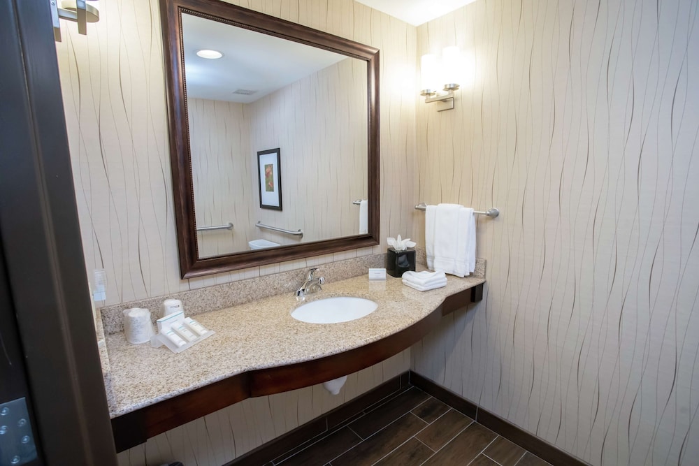 Hilton Garden Inn Dayton South Austin Landing - photo 27