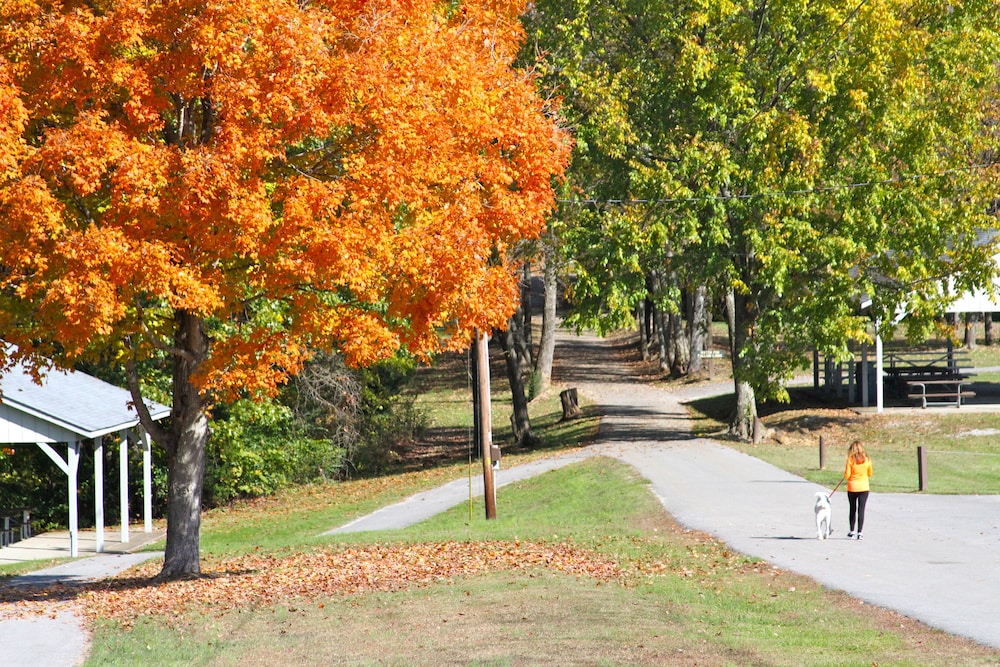 Barren River Lake State Resort Park - photo 46