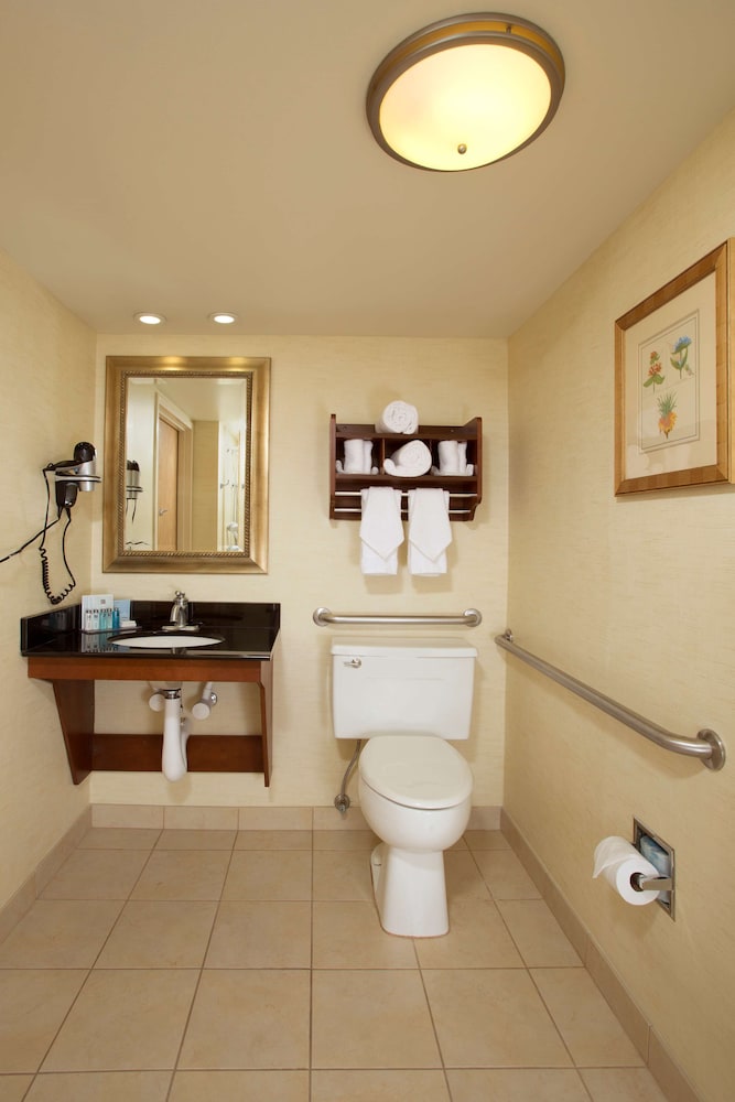 Hampton Inn Alexandria Pentagon South - photo 13