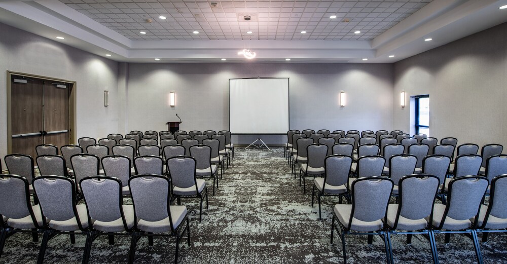 Delta Hotels by Marriott Detroit Novi - photo 26