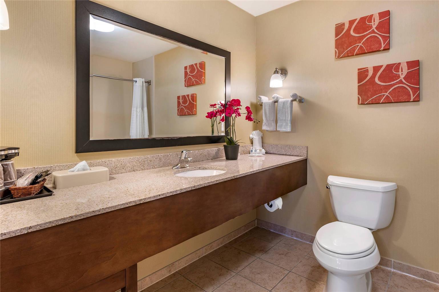 Comfort Suites Urbana Champaign University Area - photo 9