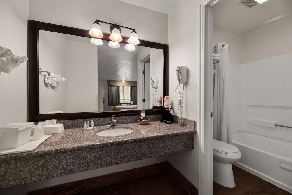 Quality Inn Saint George South Bluff - photo 12
