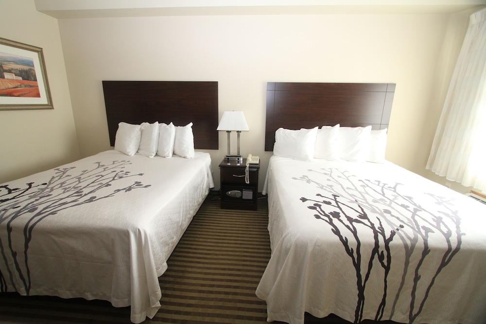 Bowman Inn & Suites - photo 21