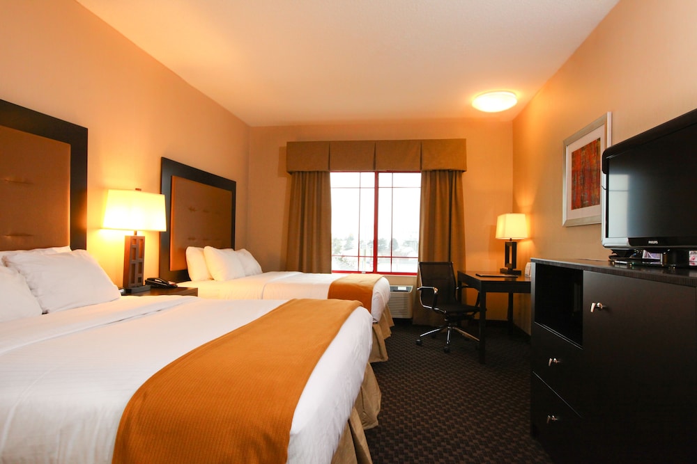 Holiday Inn Express Hotel & Suites Olathe North by IHG - photo 8