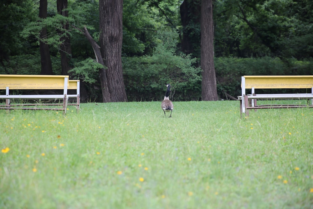 River Oak Inn - photo 23
