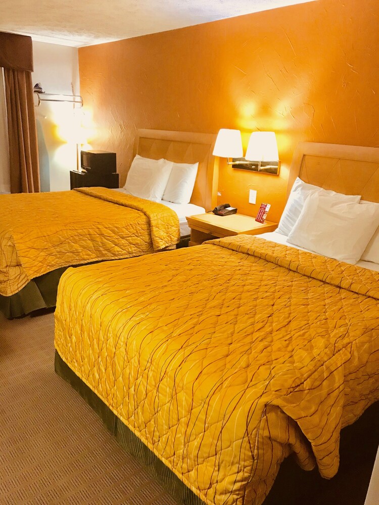 Lyons Inn - photo 5